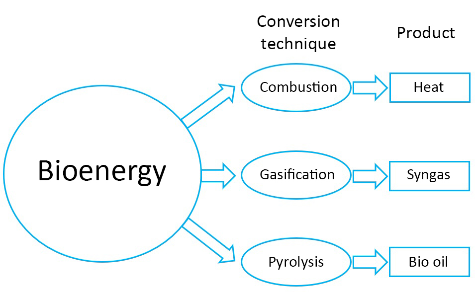 Bio energy complete.jpg