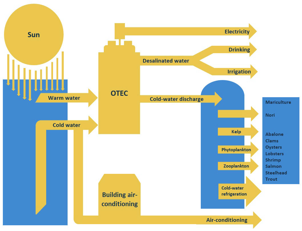 OTEC diagram 3.jpg